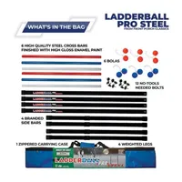 Maranda Enterprises LLC LadderBall PRO STEEL