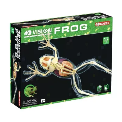 4D Master 4D Vision Full Skeleton Frog Model
