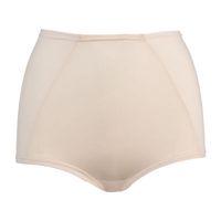 Cortland Intimates Shapewear Control Briefs 4202