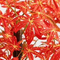 Nearly Natural 4' Orange Vibrant Maple Indoor Artificial Tree