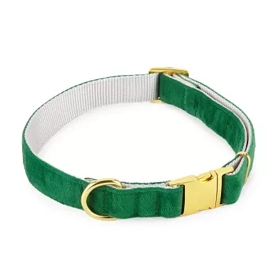 Paw & Tail Green Velvet Collar