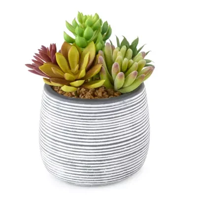 Linden Street 6in Mixed Succulent Artificial Plant