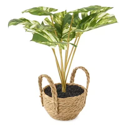 Linden Street 20in Varigated Monstera Artificial Plant