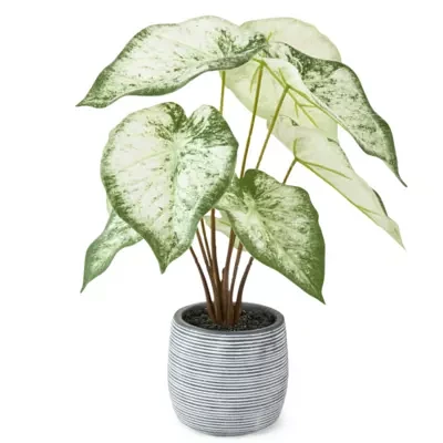 Linden Street 16.5in White Philodendron Artificial Plant