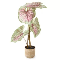 Linden Street 29in Candyland Caladium Artificial Plant