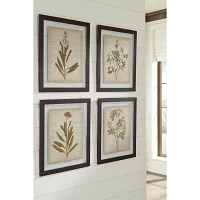 Signature Design by Ashley Botanical 4-pc. Framed Wall Art Sets