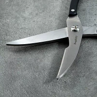 BergHOFF Dina Gene Stainless Steel Poultry Kitchen Shears