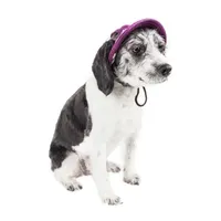 Pet Life ® 'Sea Spot Sun' Uv Protectant Adjustable Fashion Mesh Brimmed Dog Hat Cap