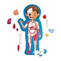 Hape Human Body Puzzle Puzzle