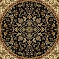 Noble Classic Traditional Oriental Area Rug