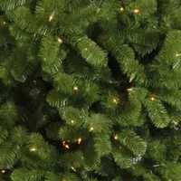 Vickerman 5 1/2 Foot Pre-Lit Christmas Tree