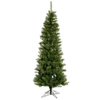  5.5' Prelit Pencil Pine Artificial Christmas Tree