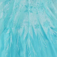 Disney Collection Frozen Elsa Girls Dress Up Costume