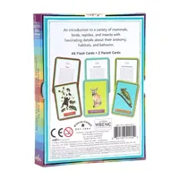 Eeboo Beautiful World Educational Flash Cards Discovery Toy