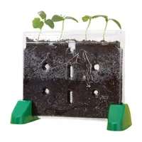 Educational Insights Sprout & Grow™ Window Discovery Toy