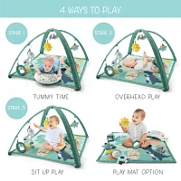 The Peanutshell Dino Baby Activity Center