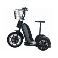 Mototec 800 Watt 48v 3 Wheel Electric Trike Mobility Scooter