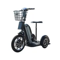 Mototec 800 Watt 48v 3 Wheel Electric Trike Mobility Scooter