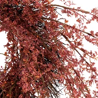 Northlight 24in Autumn Harvest Burgundy Berry Artificial Indoor Wreath