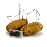 Toysmith 4m Potato Clock; Brown