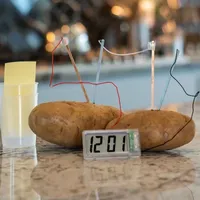 Toysmith 4m Potato Clock; Brown