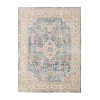 Amer Rugs Cienieka Dia Vintage Bordered Indoor Rectangular Accent Rug