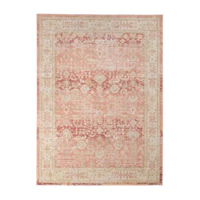 Amer Rugs Cienieka Hiromi Vintage Bordered Indoor Rectangular Accent Rug