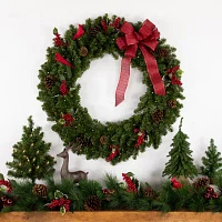 Northlight Canadian Pine Artificial Double 36-Inch Clear Led Lights Indoor Pre-Lit Christmas Wreath