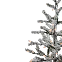 Northlight Twig Artificial Warm White Lights 3 Foot Pre-Lit Pine Christmas Tree