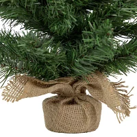 Northlight Potted Mini Medium Artificial Unlit 1 1/2 Feet Pine Christmas Tree