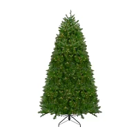 Northern Full Artificial Warm White Led Lights 14 Feet Pre-Lit Pine Christmas Tree