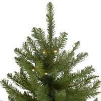 Northern Full Artificial Warm White Led Lights 14 Feet Pre-Lit Pine Christmas Tree