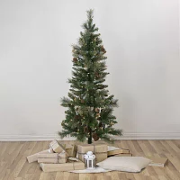 Northlight Yorkshire Pencil Artificial Clear Lights / Foot Pre-Lit Pine Christmas Tree