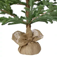 Northlight Green Ponderosa Artificial With Jute Base Unlit 5 Foot Pine Christmas Tree