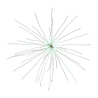 Northlight """20"""" Led Firework Silver Branch Decoration Green""" String Lights