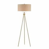 INK+IVY Pacific Metal Tripod Floor Lamp with Glass Shade