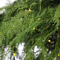 Northlight 6.5' Led Weeping Cedar 6 1/2 Foot Pre-Lit Cedar Christmas Tree