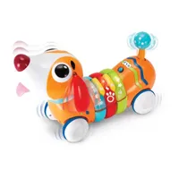 Winfun Winfun Rc Rainbow Pup