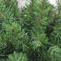 32'' Canadian Pine Artificial Christmas Door Swag - Unlit