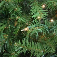 14' Pre-Lit Full Northern Pine Artificial Christmas Tree - Clear Lights