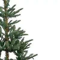 6.5' Pre-Lit Nordmann Fir Artificial Christmas Tree  Warm Clear LED Lights