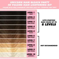 Lime Crime Unicorn Hair Bleach Party Kit 40 Volume