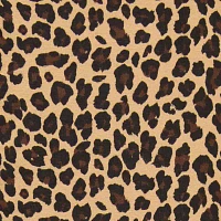 Thereabouts Little & Big Girls Full Length Leggings