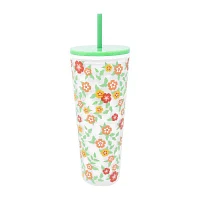 Martha Stewart 24oz. Acrylic Insulated Tumbler with Straw