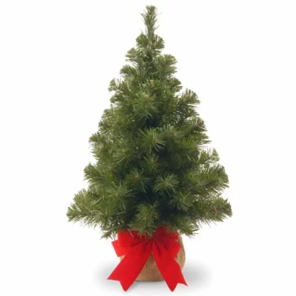 National Tree Co. Noble Spruce 2 Foot Spruce Christmas Tree