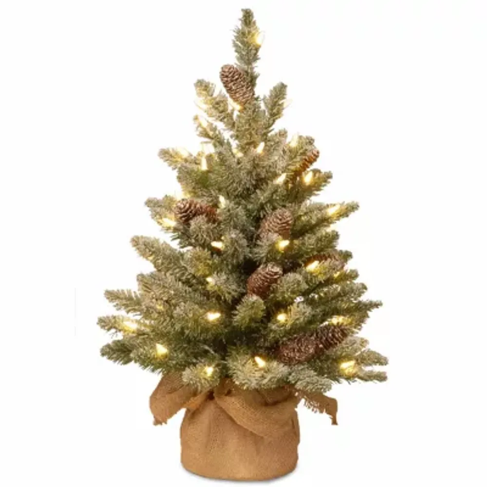 National Tree Co. Snowy Concolor Burlap 2 Foot Pre-Lit Fir Christmas Tree