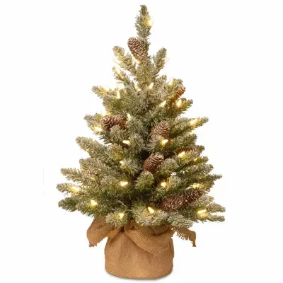 National Tree Co. Snowy Concolor Burlap 2 Foot Pre-Lit Fir Christmas Tree