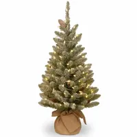 National Tree Co. Snowy Concolor Burlap 3 Foot Pre-Lit Flocked Fir Christmas Tree