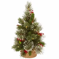 National Tree Co. Wintry Pine 1 1/2 Feet Pre-Lit Flocked Pine Christmas Tree