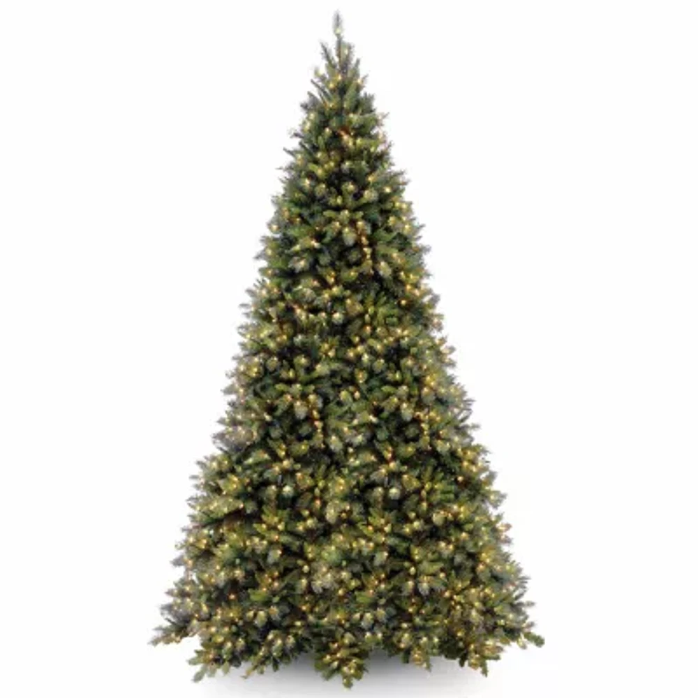 National Tree Co. Tiffany Fir 12 Foot Pre-Lit Fir Christmas Tree